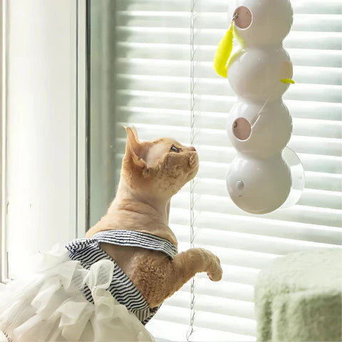 WirbelPfote™ Faszinierendes Aktives Katzentraining