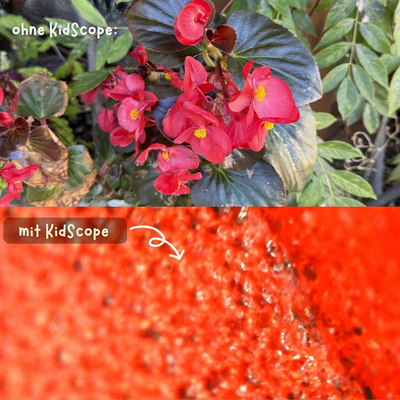 KidScope  - Das digitale Mikroskop für Kinder ab 3 Jahren - spielerisch die Natur entdecken