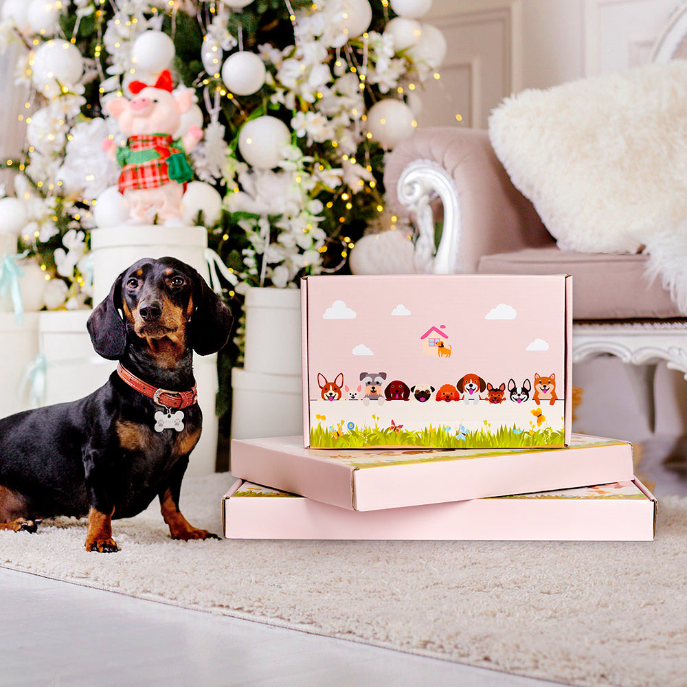 Schwarzer Blumentopf für Basenji