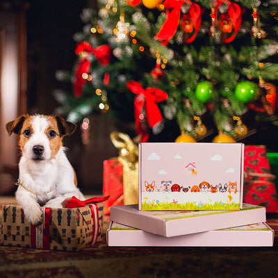 Bernese Mountain Dog Flower Pot