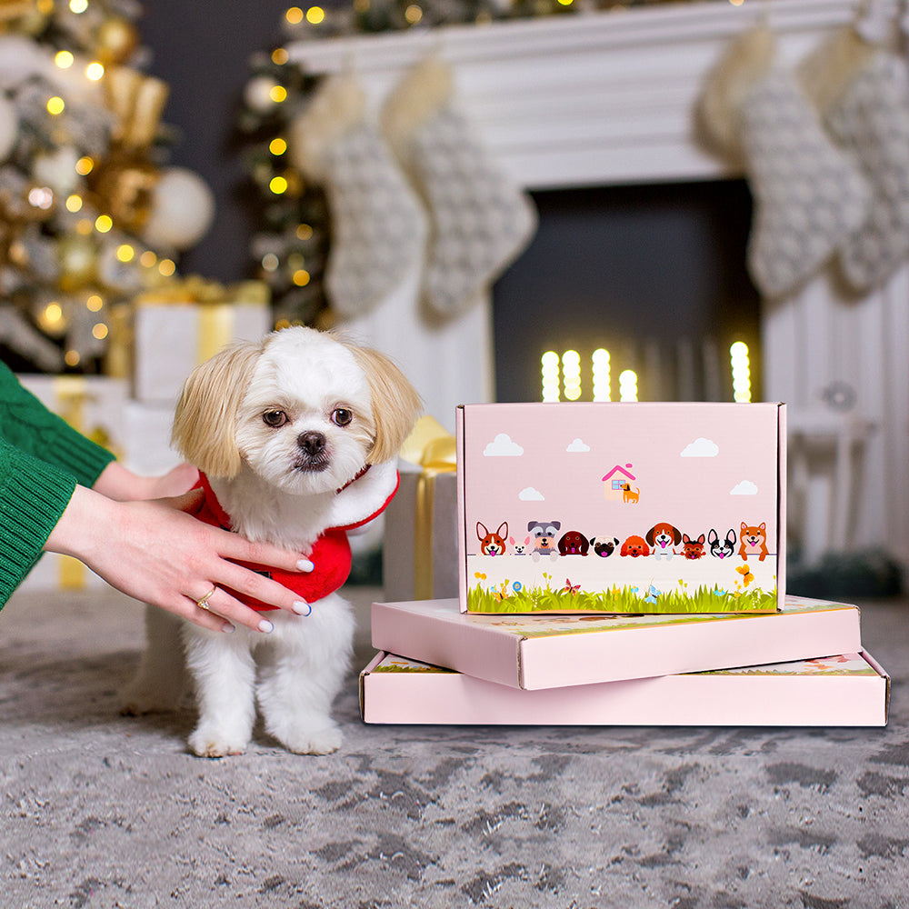 Faultier Pflanzentopf