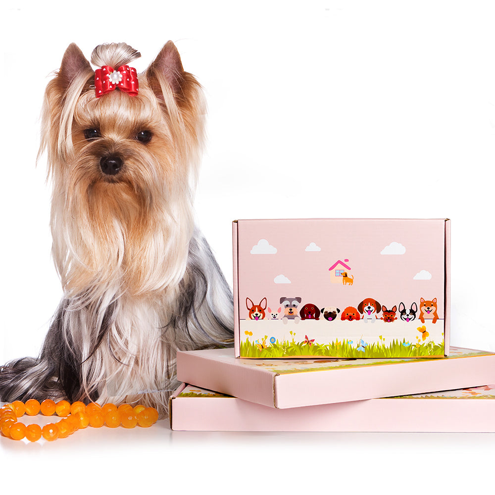 Krabbe Pflanzgefäß